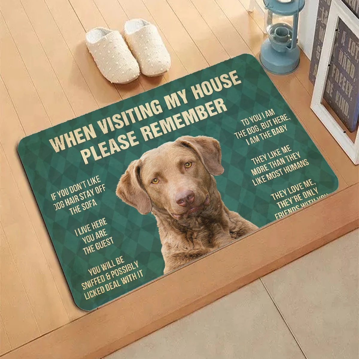 Scotland Golden Retriever Doormat 3D Decor Print Pet Carpet Soft Flannel Non-Slip Doormats for Bedroom Porch