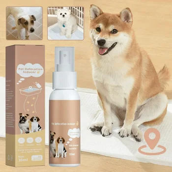 애완동물 배변 유도 스프레이, 실내 야외 고양이 변기, 소변 트레이너, 액체 개 변기 훈련 스프레이 Best5 애완동물 배변 유도 스프레이, 실내 야외 고양이 변기, 소변 트레이너, 액체 개 변기 훈련 스프레이 Best5