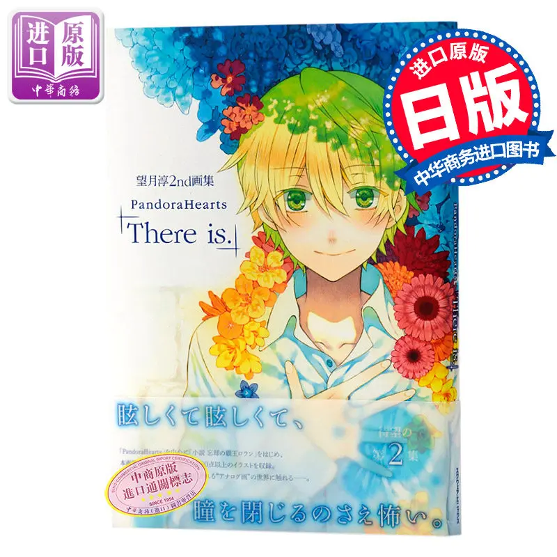 Official Art Book Vol.2, Dark Fantasy Illustration Collection, Japanese Original Edition for Fans & Collectors