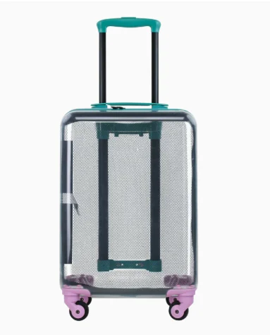 Transparent PC Scratch-Resistant and Wear-Resistant Pull-on Luggage 20-Inch Adult Checked Suitcase with Swivel Wheels