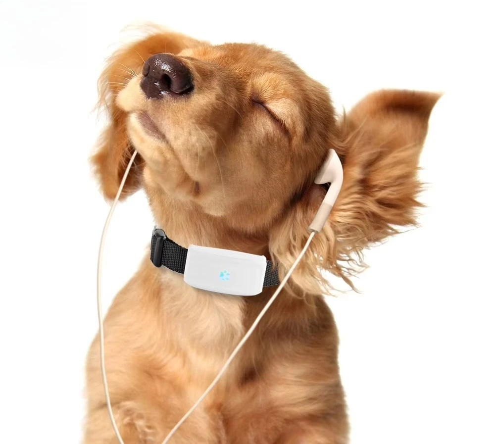 

STLFYIR REFIT Factory Price Real Time GSM Tracking Device Locator Smart Geo Fencing Pet Collar GPS Tracker for Dog Cat