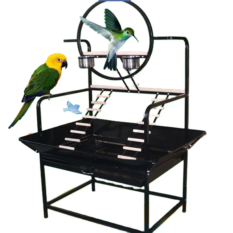 Newly designed high quality fashion black pet game stand Parrot habitat Metal bird stand better viewing parrot bird movement fre