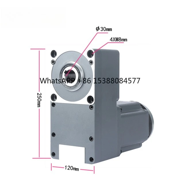 

12V 24V 220V BLDC Worm Gear Micro Electric Worm Motor 3000W Power for Power Tools for AC & DC