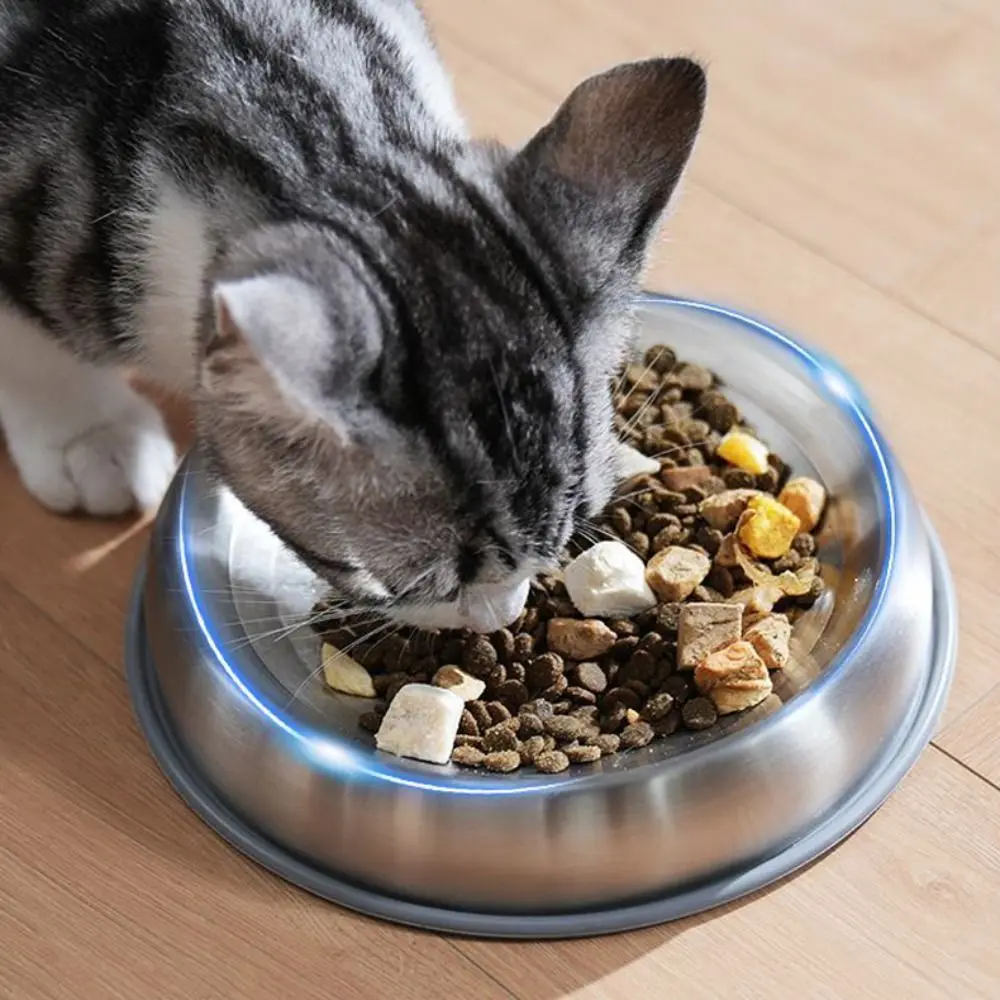 اكسسوارات الحيوانات الأليفة مع بطانة حماية من السيليكون الفولاذ المقاوم للصدأ وعاء الحيوانات الأليفة عدم الانزلاق المغذية السلطانية الكلب السلطانية دائم 16 سنتيمتر وعاء قطة الكلب/القط
