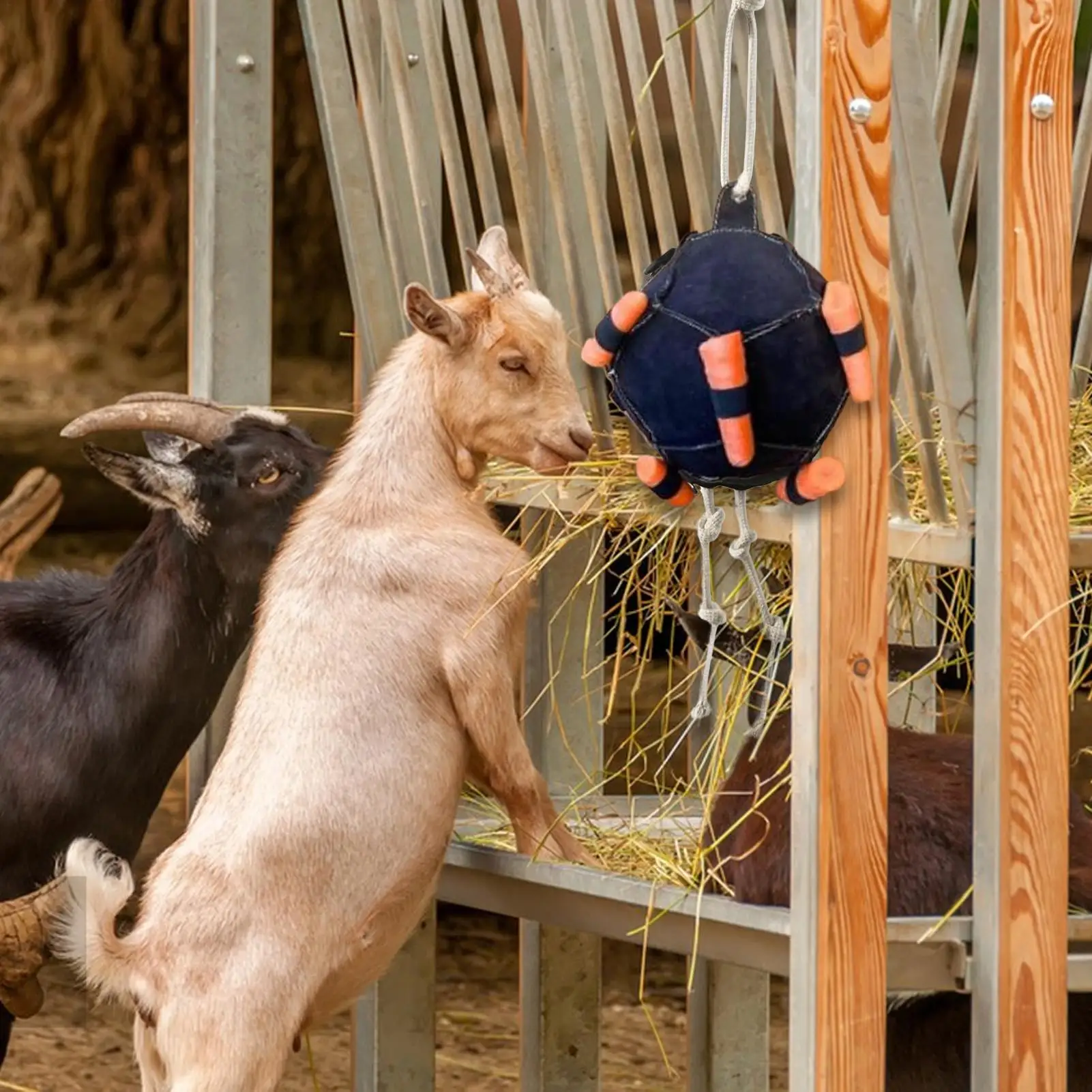 Pelota de alimentación de zanahoria y caballo, juguete alimentador de heno, pelota de juguete colgante, juguete de alimentación para caballo, cabra, oveja, alivia el estrés, pelota de regalo para caballos