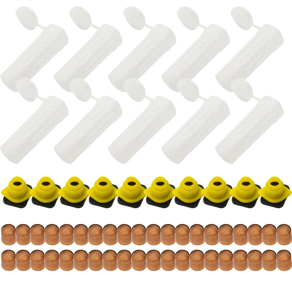 Premium Bee Queen Rearing Cupkit, Complete Box System for Beekeeping, Easy and Reliable Queen Bee Breeding Solution