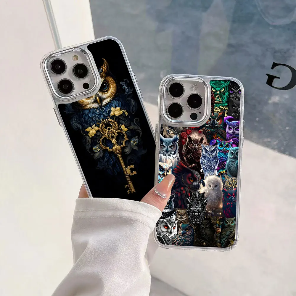 Animal Pet Cute Owl… - image