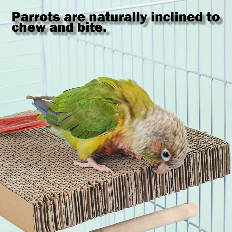 Thumbnail 2 - #18 Cheap Bird Supplies Worth Buying