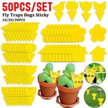 야외 정원용 강력한 끈끈한 파리 해충 트랩, 식물 곤충 캐처, 양면 끈끈한 보드, 해충 방제 캐처, 10-50 개