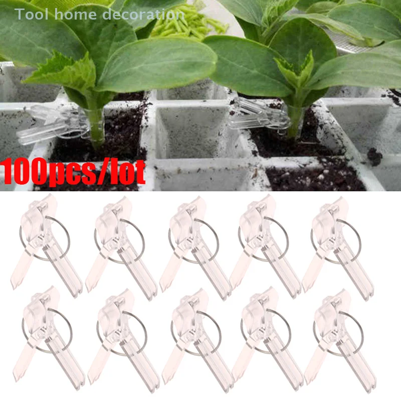 100Pcs 15x35MM Grafting Clips Vegetables Grafted Clamp Garden Plants Seedling Transparent Plastic Joint Gardening Tools