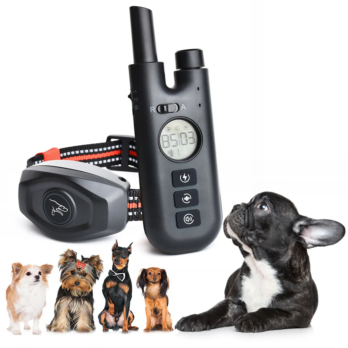 

2in1 Anti-Bark Collar for Large Medium Small Dogs, Dog Training Collar for All Breeds, IPX7 Waterproof Rechargeable Collar