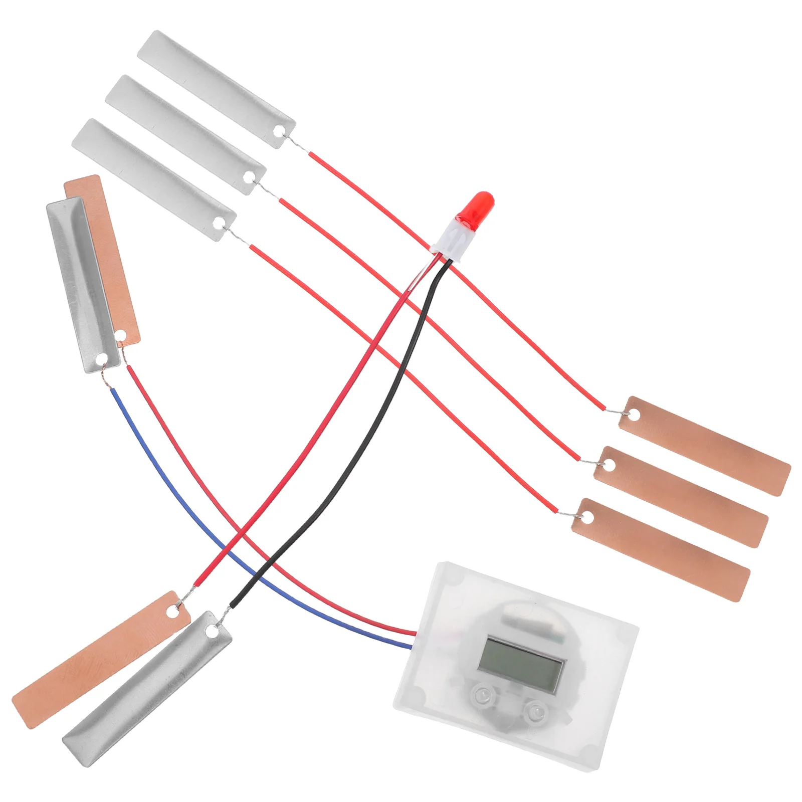 DIY Fruit Kit for Children Potato ange Lemon Experiment Educational Toy Physics Learning Tool Science Project