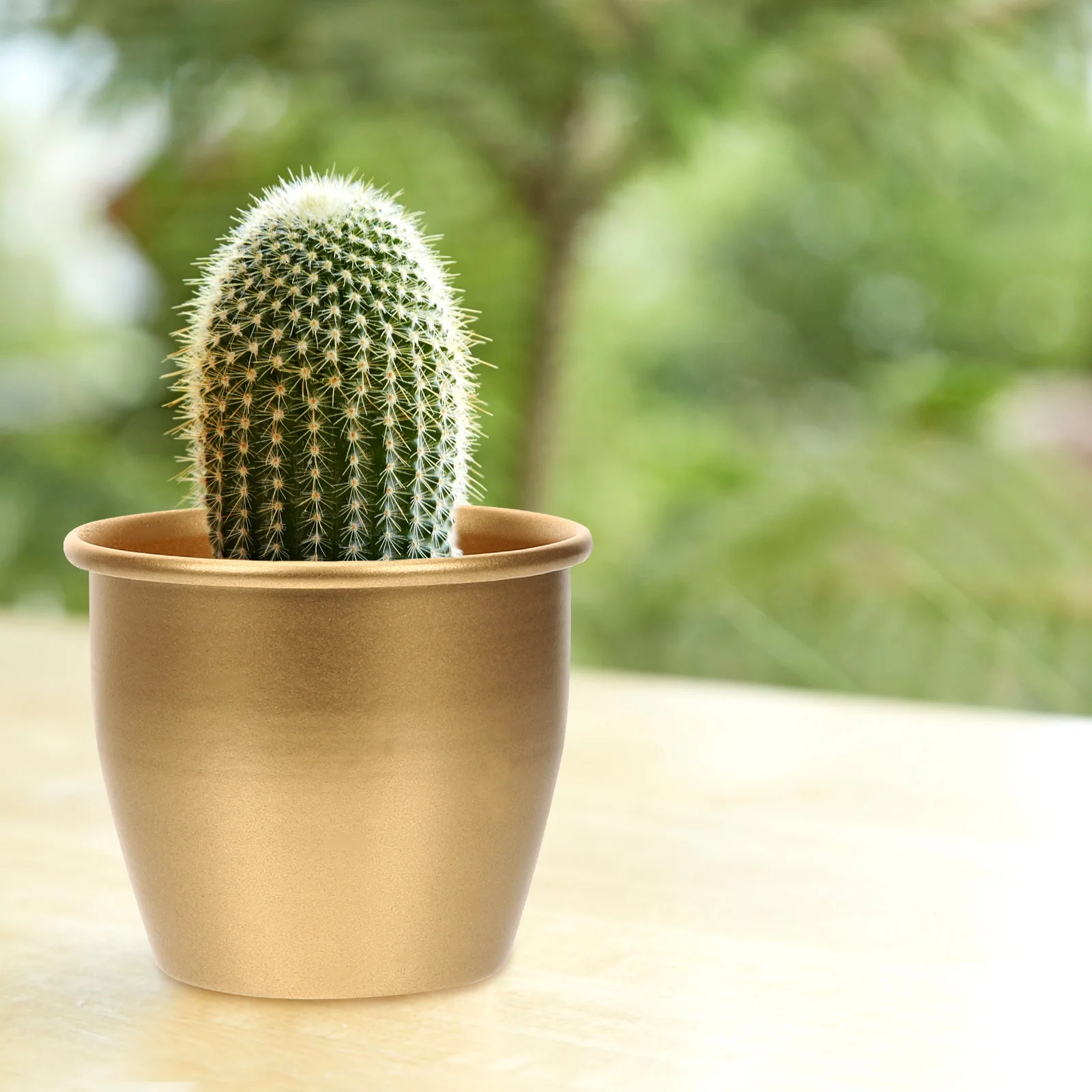 Mini Flower Pot Indoor Plants Outdoor Planter For Front Porch Metal Bucket Container