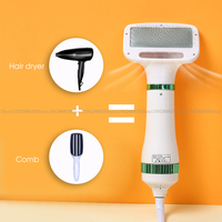 Pet hair dryer 2-in-1 with smooth brush to modify cat and dog brush professional home beauty hairy hairy portable dog blower