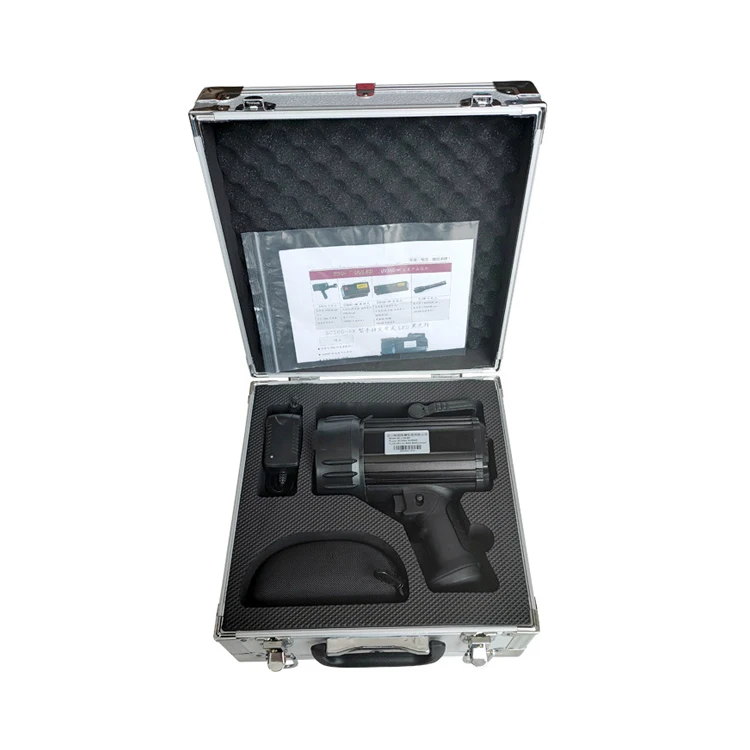 IWIN Handheld Portable Black Light Ultraviolet Inspection Light for Equipment LED Display 1-Year 220V Detection for Machine Use
