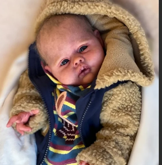 Zestaw dla kolekcjonerskich lalek Reborn NPK, 20 cali, niepomalowany, model Nicol Fresh Color, miękki w dotyku, do samodzielnego wykonania, z materiałowym korpusem i oczami.