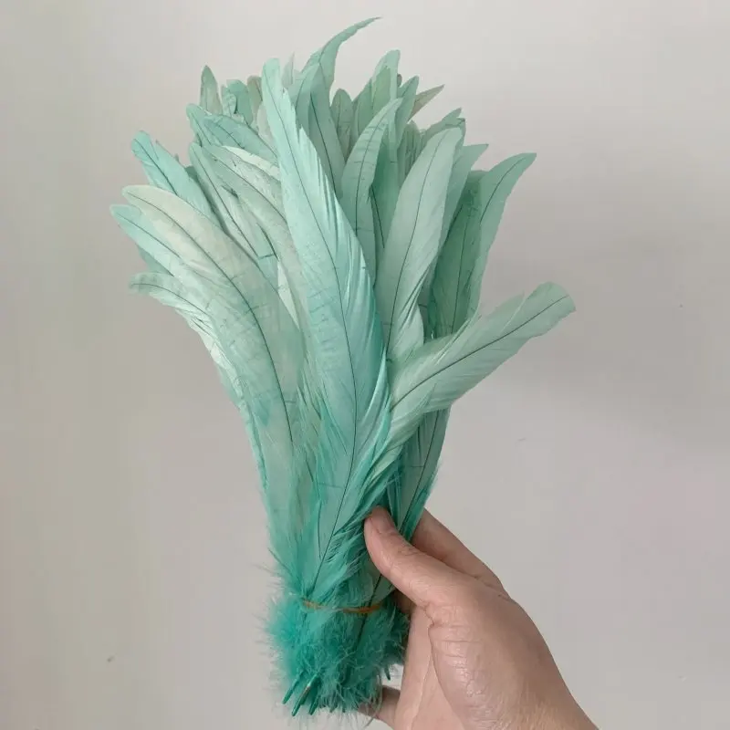 Hahnenschwanzfeder, 100 Stück, Rot, Schwarz, alle Größen, DIY-Feder, Kleidung, Schmuck, Accessoires, Hochzeitszubehör, Leistung erforderlich – Detail 11