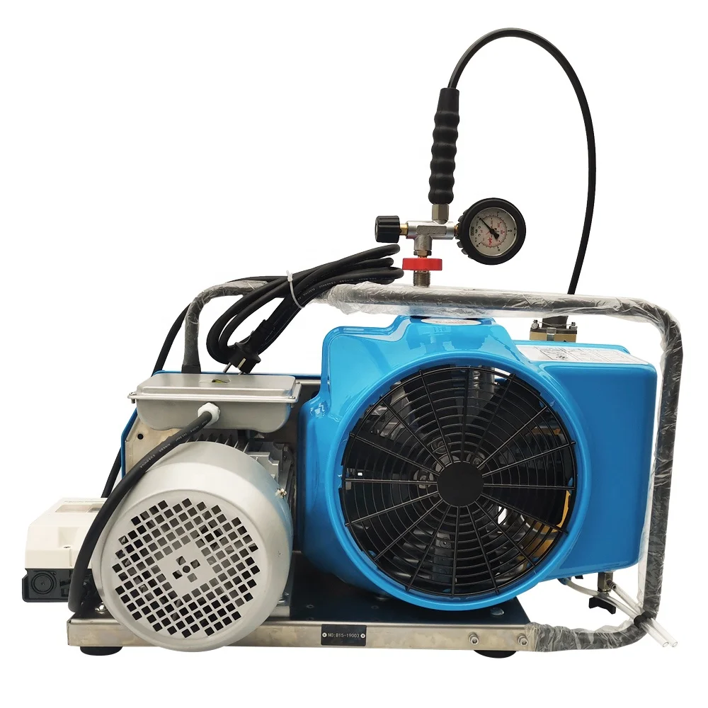 

Gold Seller DMC 225bar 300bar 330bar Electric Belt Driven Two Outlets High Pressure air Compressor for Diving Breathe