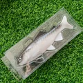 20cm 134g
