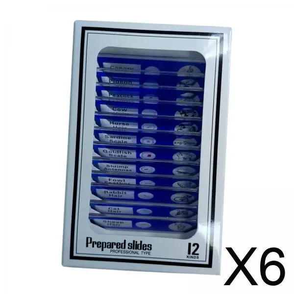 

Игрушки для научных экспериментов, детские микробиологические горки, когнитивное развитие, обучающая игрушка для студентов, образовательный подарок