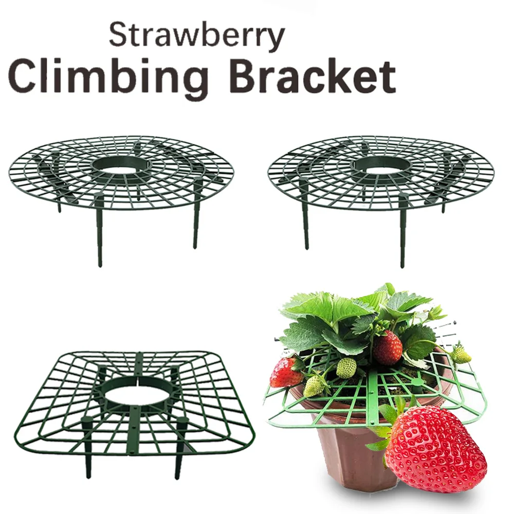 Round Rectangle Plastic Strawberry Stand Houseplant Growth Garden Balcony Strawberry Planting Anti-Rot Gardening Support Frame