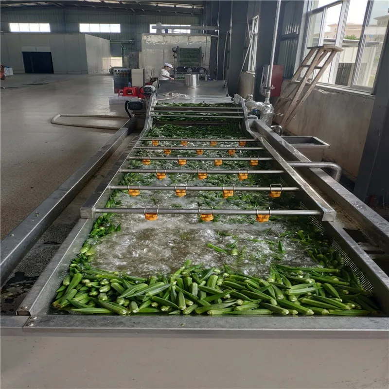 Automatic Air Bubble Fruit Vegetable Washing Machine Accurate Temperature Control for Restaurant Use Corn Processing New