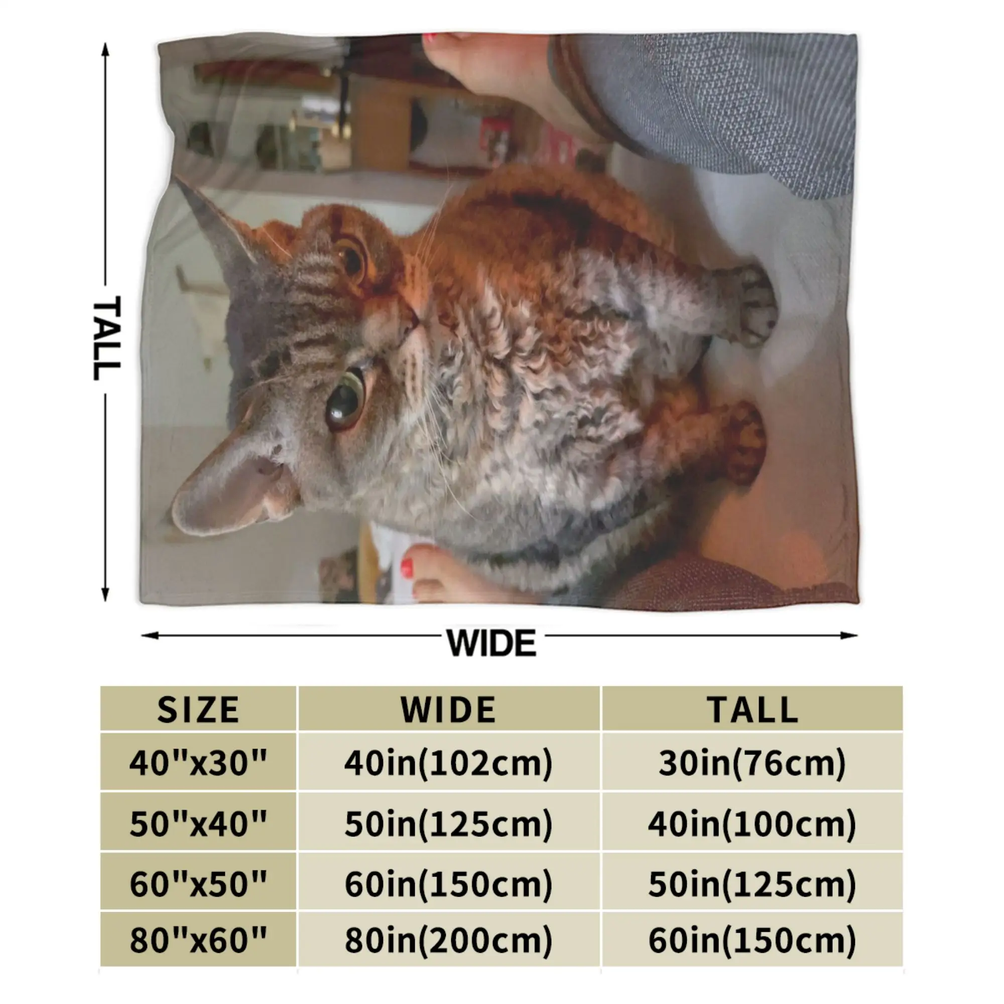 Couverture légère et fine en flanelle, drôle et mignon, chat, chats, mèmes meme Merch, couette fine en peluche confortable