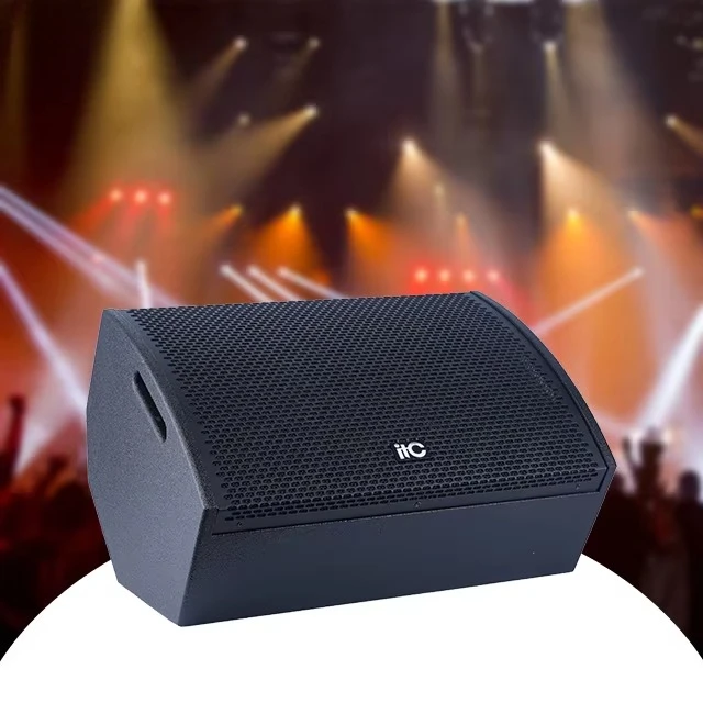 

12inch Professional Two Way Black Color Studio Speaker Floor Speaker