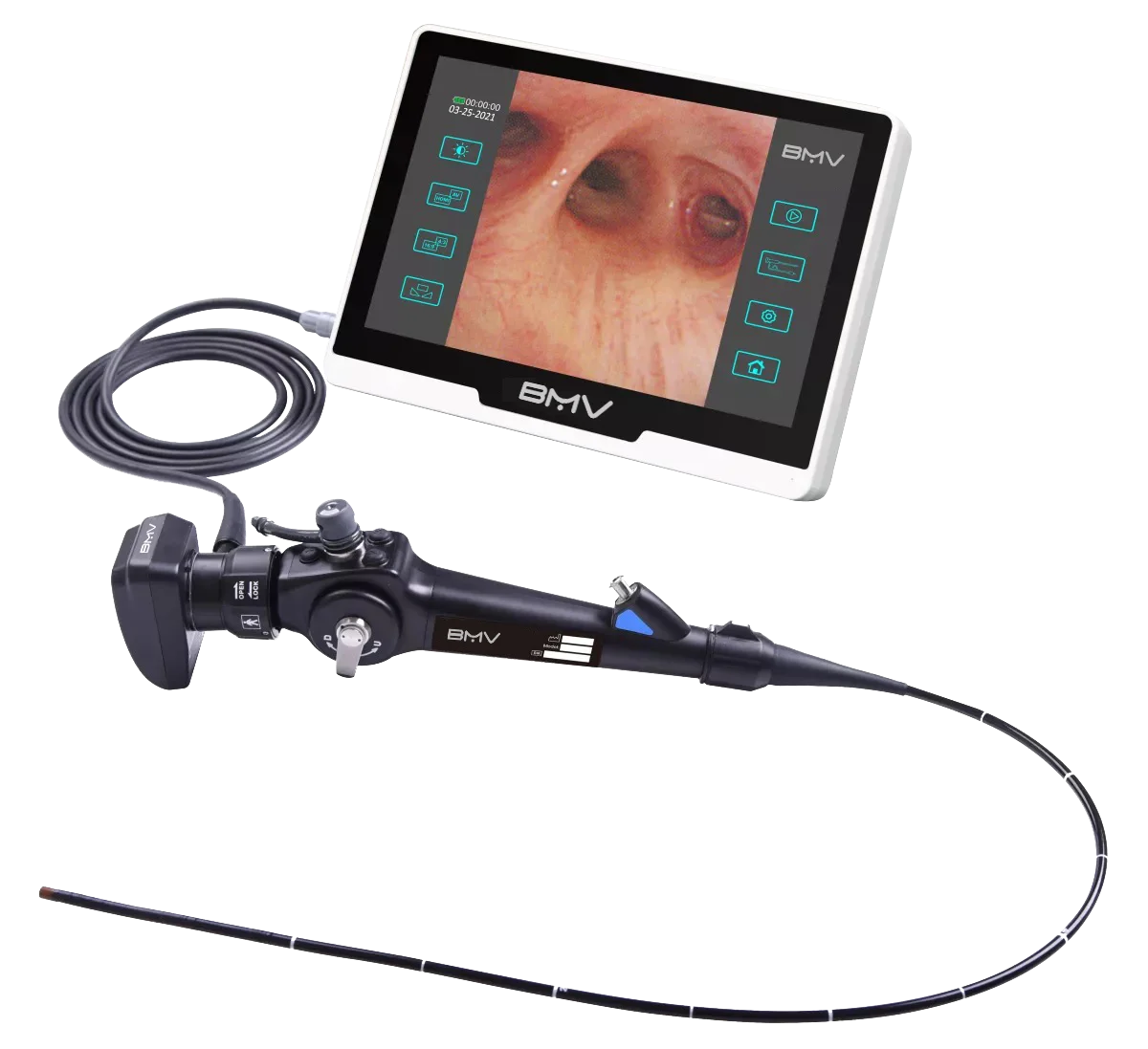 Flexible veterinary gastroscope endoscope / Vet endoscopy for cat dog horse and dolphin