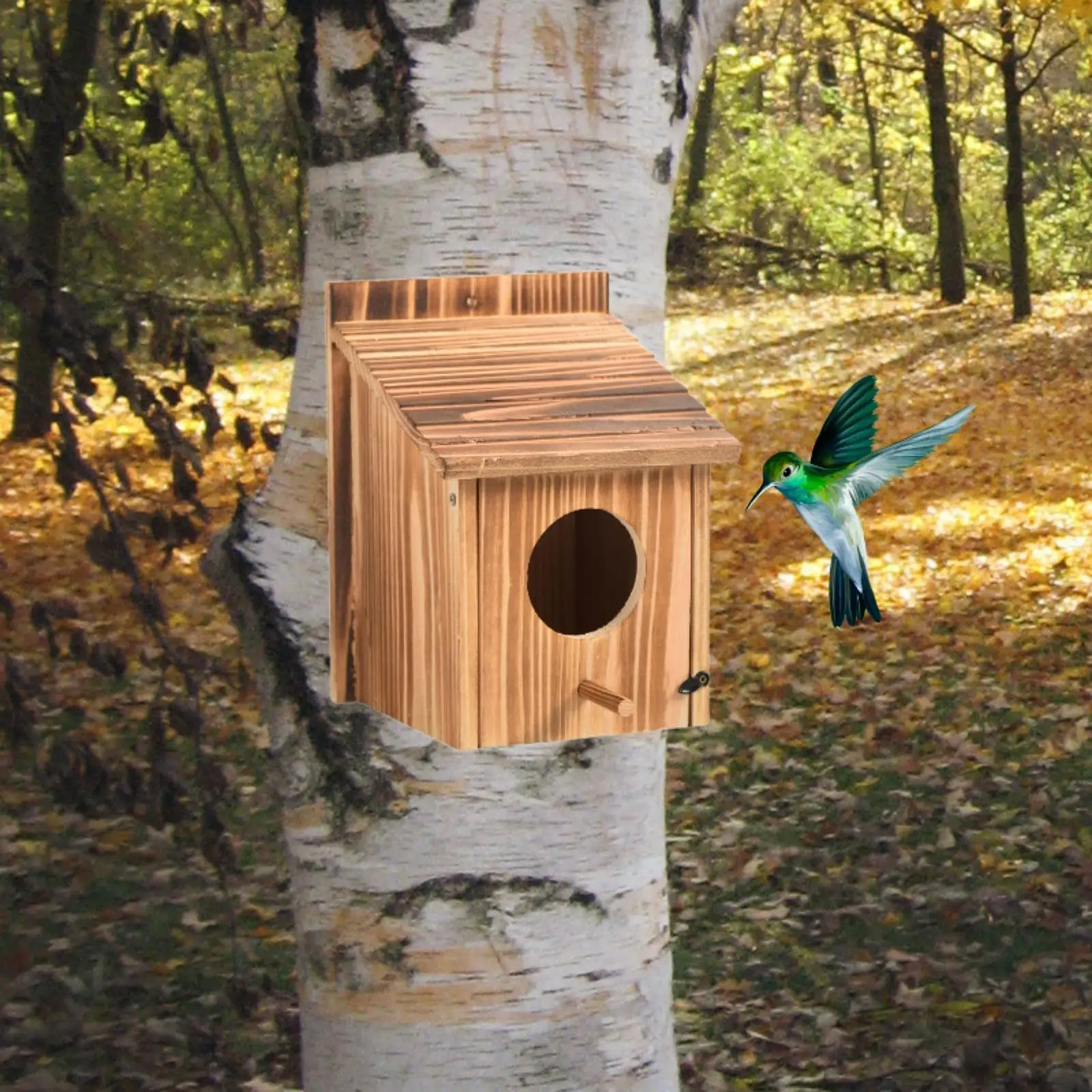 Thumbnail 4 - #30 Latest Birdhouses Offers
