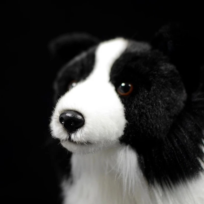 Animal Artificial de peluche, muñeco de perro, Linda figura de acción Border Collie, animales realistas, muñeco de peluche de simulación, regalos de juguete Kawaii