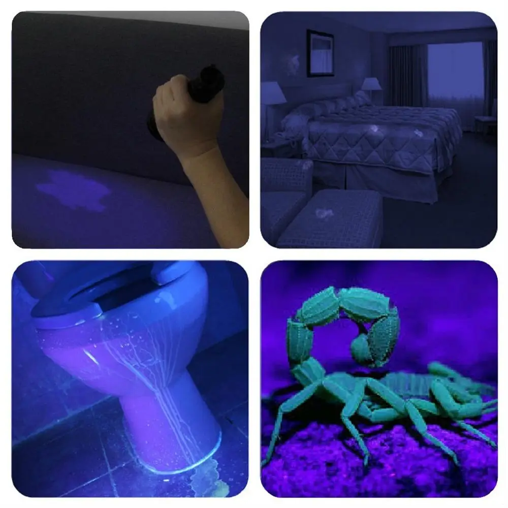 Zoom UV-LED-Taschenlampe, 365 nm, 395 nm, unsichtbare Tinte, Marker, Katze, Hund, Urin, Tinea, Erz, Geld, Skorpion, Fluoreszenzlicht, Verwendung AAA 18650 – Detail 12