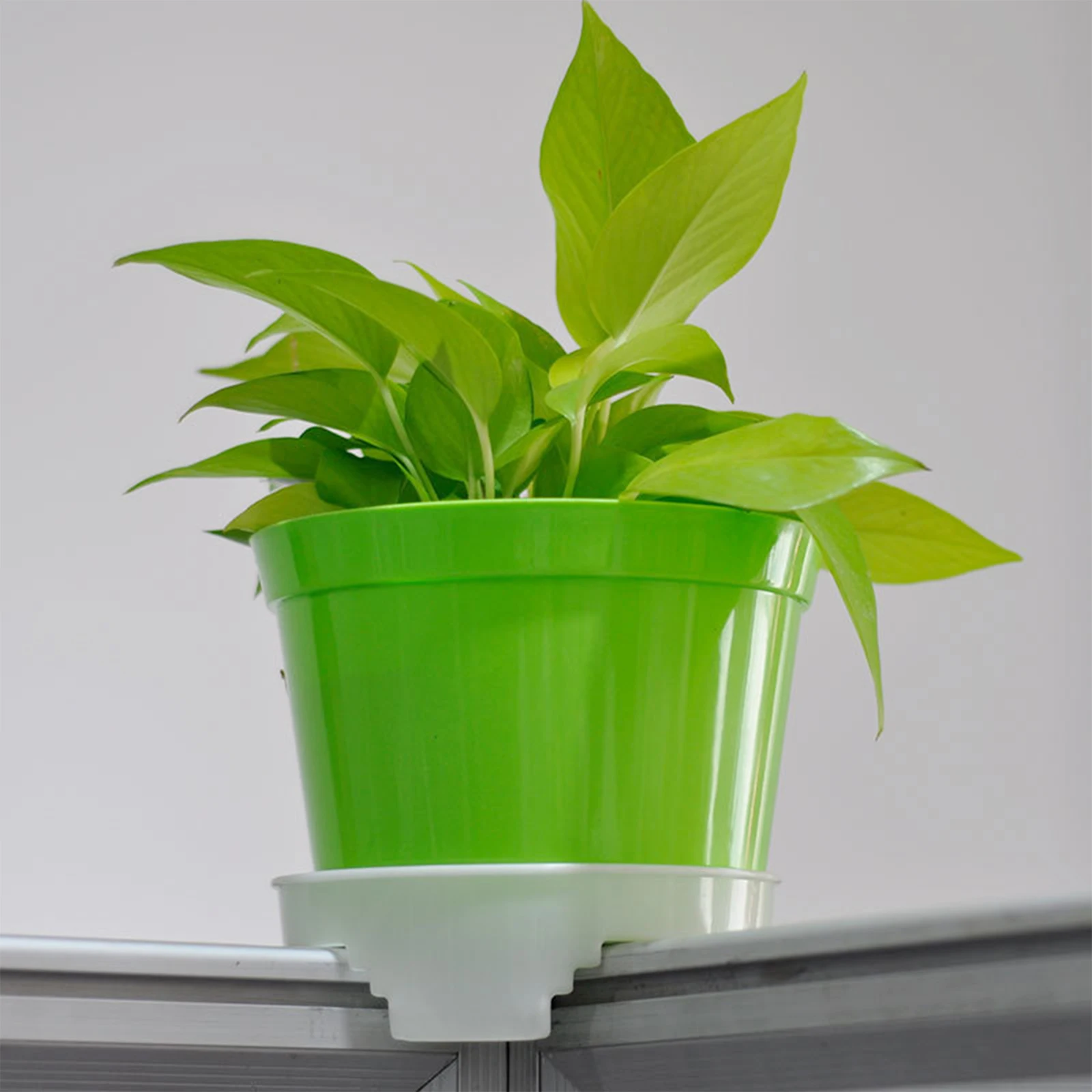 

5pcs Plant Pots Tray Lightweight Durable High Quality Prevent Water Leaking Soil Flowing Easy Clean Flowerpot Base Planter