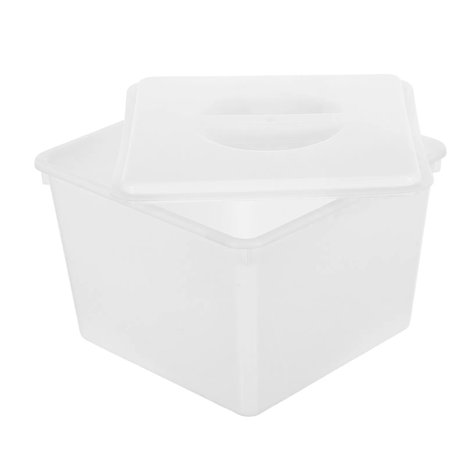 Small Lab Cleaning Tub with Removable Lid Chemical Resistant Soaking Container for Sample Vial Beaker Test Tube Deep Immersion