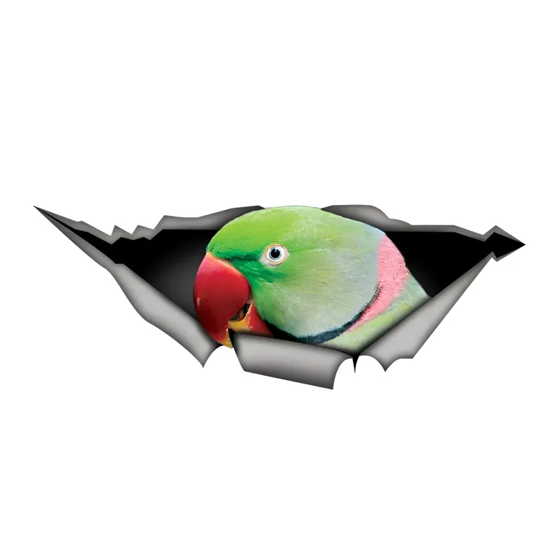 DK470# Alexandrine Parakeet Car Stickers, Waterproof Pvc Animal Decals With 3D Effect, Block Scratches and Increase Fun Auto Par