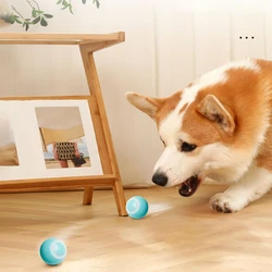 Juguetes eléctricos inteligentes para perros y gatos pequeños, pelota rodante automática divertida, juegos para cachorros, suministros para mascotas