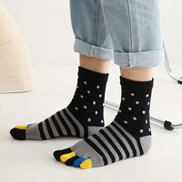 5 Pairs Large Mans Colorful Toe Socks Spring Autumn Quality Cotton Bright Color Fashion Striped Happy Socks Five Fingers EU45 46