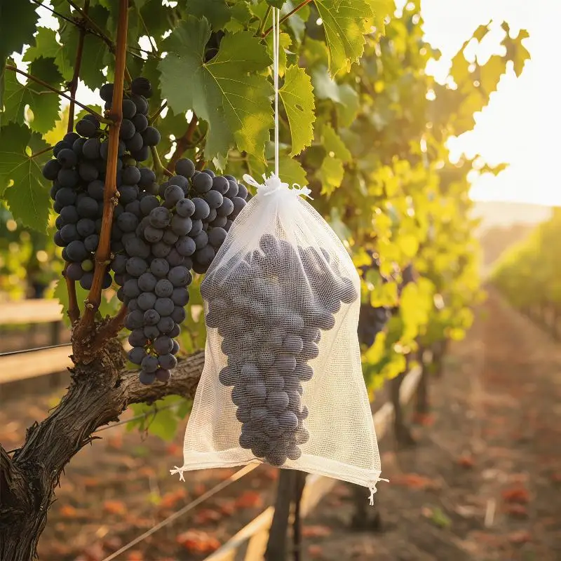Non Woven Plant Bags for Fruit Care Keep Gardens Insect Free with Bird Deterrence