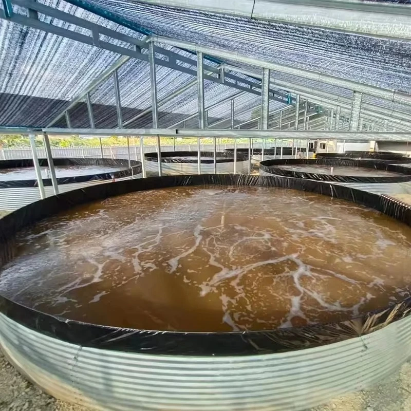 حمامات سباحة كبيرة خارجية عالية الجودة بإطار جمبري مستدير لحمامات زراعة الأسماك
