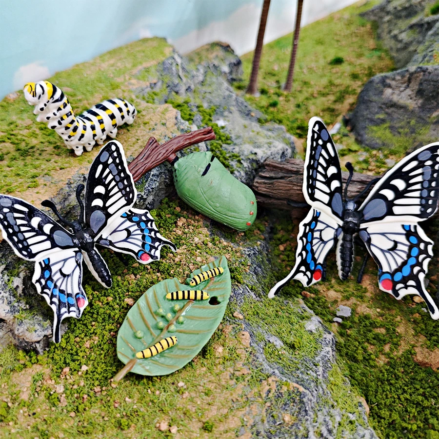 Realistic Life Cycle Toys Luna Moth Scorpion Bee Spider Stag Beetle Dragonfly Montessori Figurine Educational Biology Toys