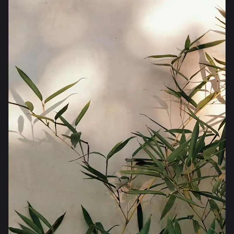 

Специальная ссылка для съемки индивидуального продукта AWX