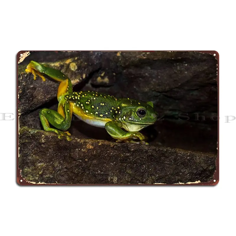 

The Walk Metal Sign Club Вечерние Plates, забавный Железный клуб, жестяной знак, постер