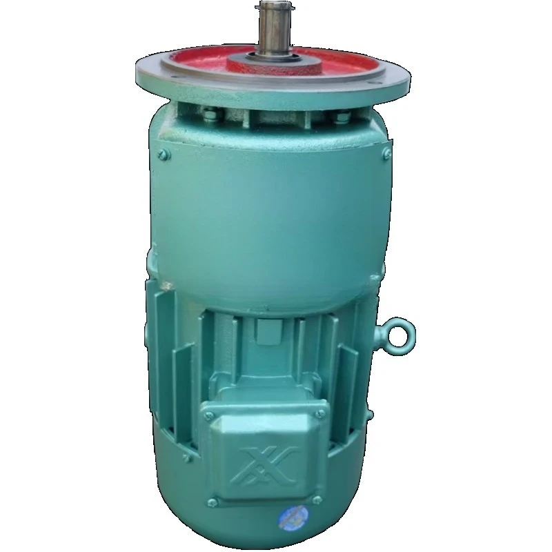 

Трехфазный асинхронный двигатель с контактными кольцами среднего напряжения для подъемного оборудования, с функцией замедления