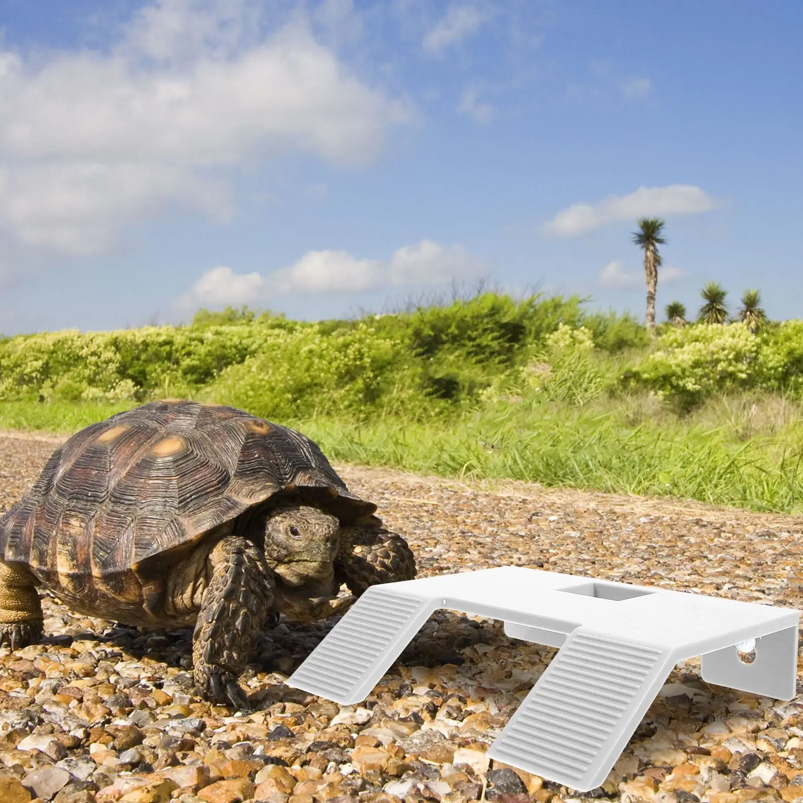 Tartaruga Escalada Basking Platform for Aquatic Turtle Tank, Rampa Flutuante para Aquático