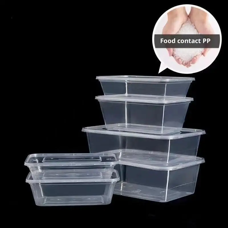 Transparent Fruit Carry Out Boxes Disposable Salad Meal Cake: 10Pcs Lunch Box Container Lids Food