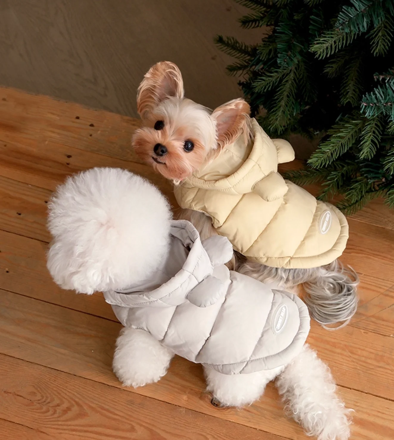 �y�Z�[�����z�g�����h���Ȑ����p�R�[�g�A�P�F�f�U�C�i�[�~���A��^���p�A�q���p�A�N�Z�T���[