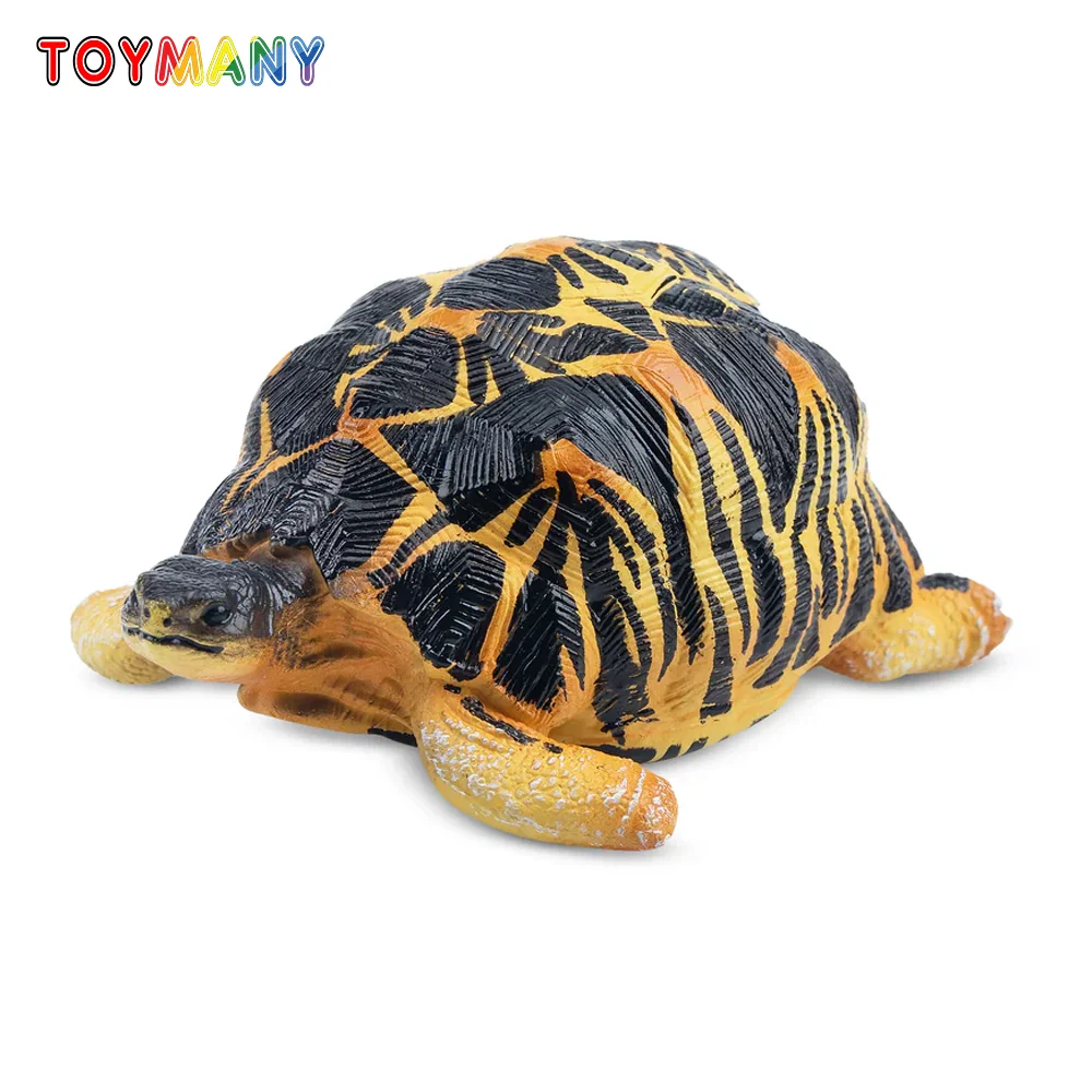 

Toymany Simulation Radiated Tortoise Madagascar Animal Model Toy Mini Figures Dolls Action Figurines Toy Children Gife Cake Dec