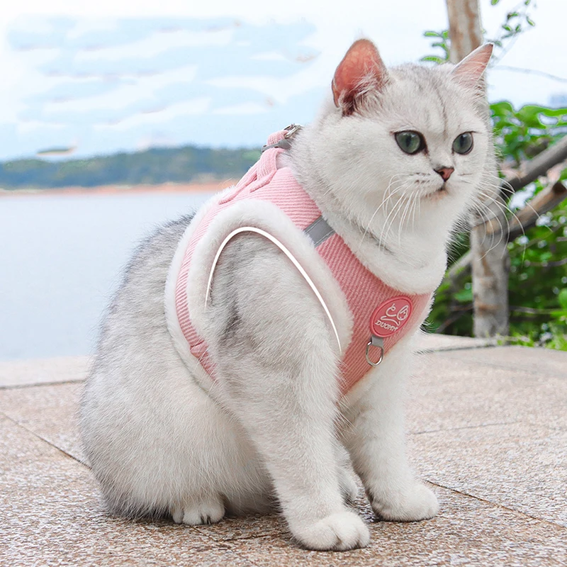 Cordas de tração com coleira felina para animais, proteção reflexiva de segurança, peito e costas, coleira de gato, novo e conforto, outono e inverno