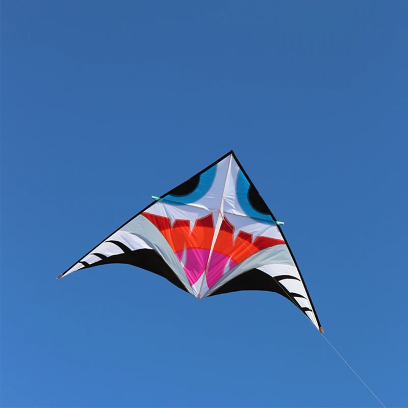 จัดส่งฟรี shark kites บินสําหรับผู้ใหญ่ kites line delta kites โรงงาน windsurf บินของเล่นอุปกรณ์เสริมสําหรับตกปลา Kite reel