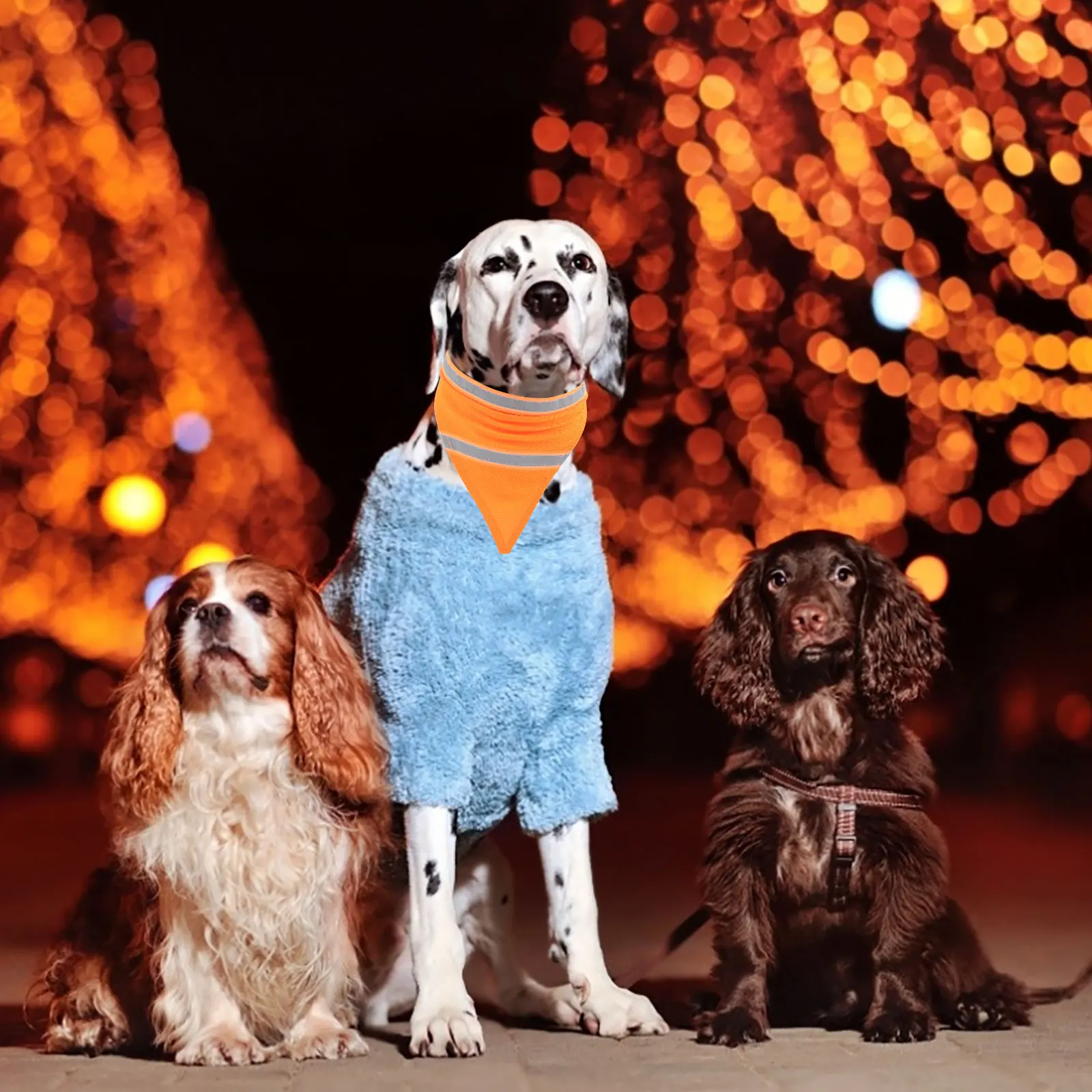 

2Pcs Reflective Dog Bandana Triangle Scarf Lightweight for Night Walking High Visibility Pet Safety Bandana 13-15Inch Neck